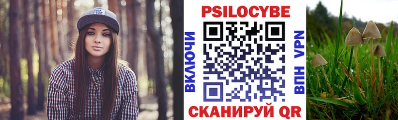 Купить где  Белокуриха  Псилоцибиновые грибы GOLDEN TEACHER 