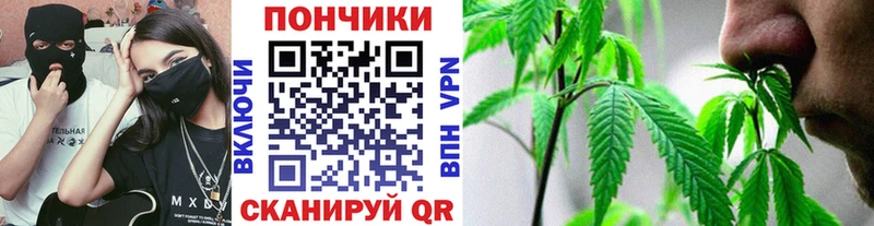Купить  Белокуриха  Конопля LSD WEED 